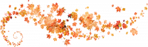 Herbstkurse bei Yoga Samiti Überlingen am Bodensee