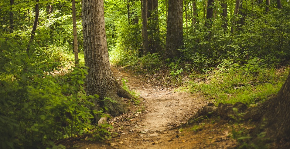 Neue Wege - bei Yoga Samiti Überlingen am Bodensee